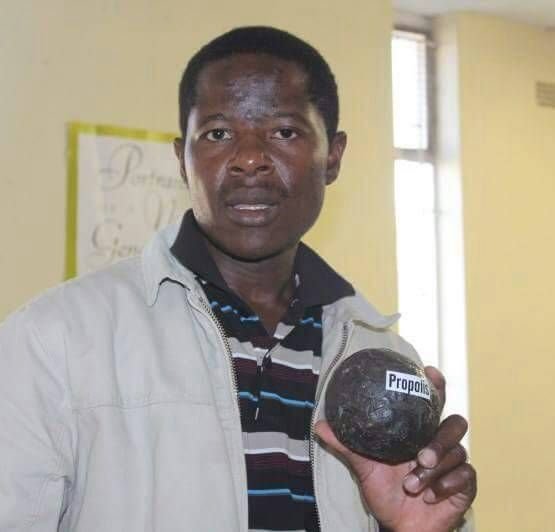 Bee smokers for sale