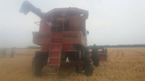 CASE COMBINE 1680 HARVESTER FOR SALE