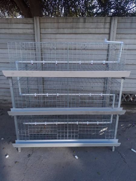 60 bird broiler chicken cages for sale
