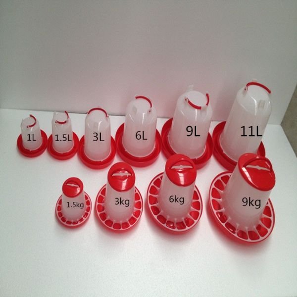 Drinkers and feeders all sizes