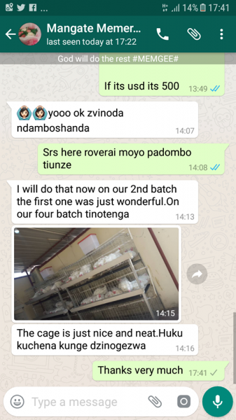 60 bird broiler chicken cages for sale