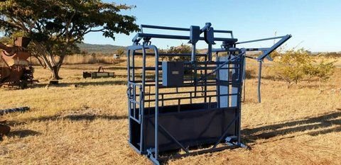 Cattle weighing equipment for sale