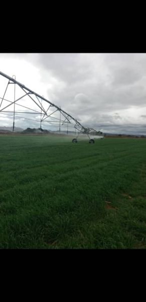 32 ha  fixed Zimmatic Centre Pivot for sale