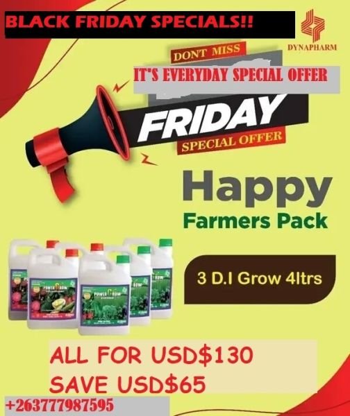 BLACK FRIDAY SPECIALS