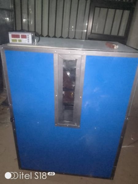 Egg incubators for sale