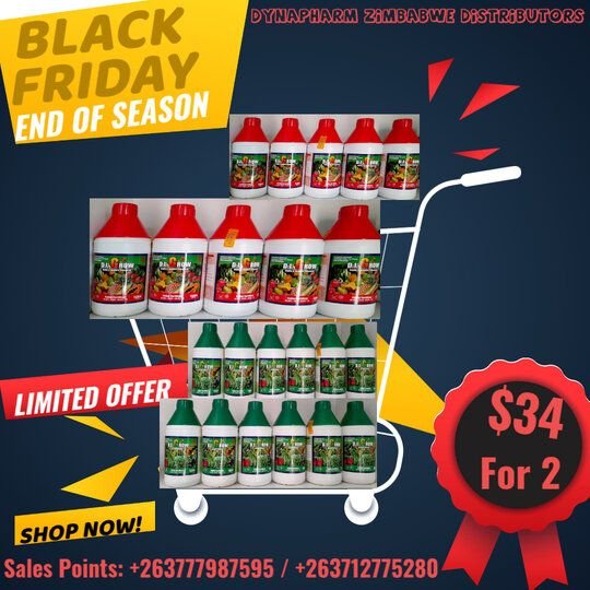 BLACK FRIDAY SPECIALS