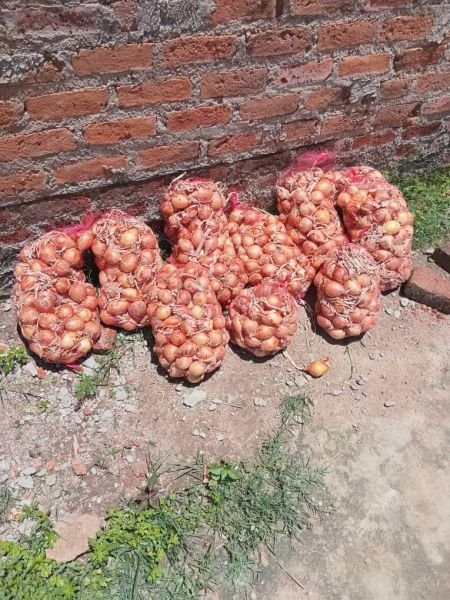 Dried onions