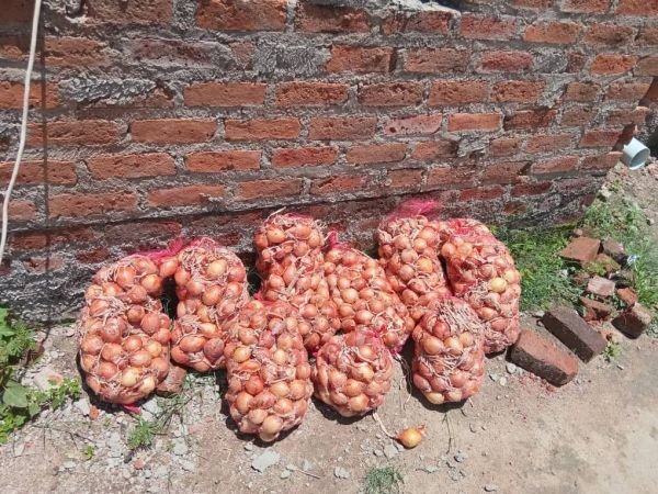 Dried onions