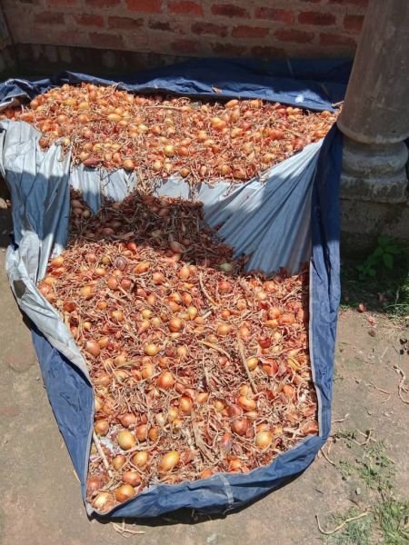 Dried onions