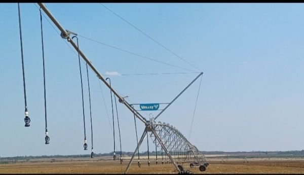 20ha Valley Centre Pivot