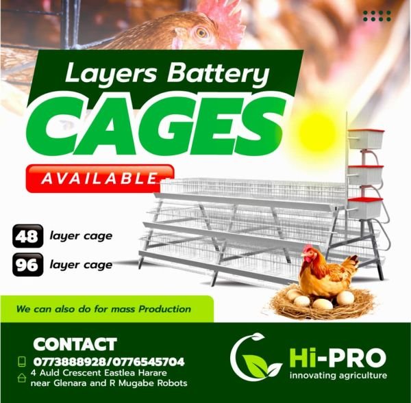 Chicken layer cages for sale