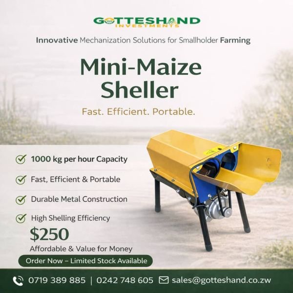 Mini maize sheller