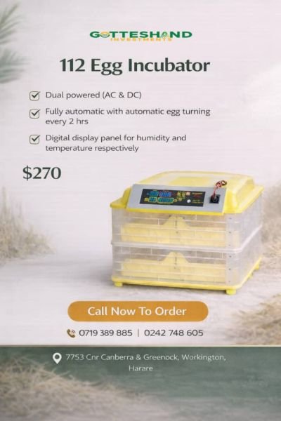 High quality egg incubators for sale