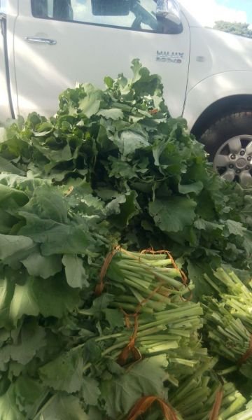 Rape vegetables for sale