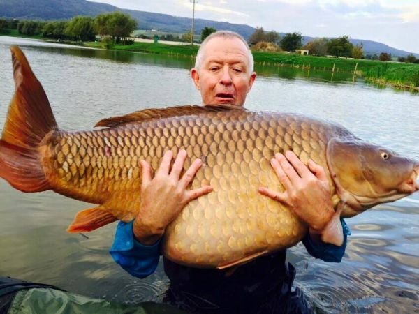 Fresh fish and dried fish for sale