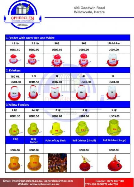 Roadrunners for sale. All ages.