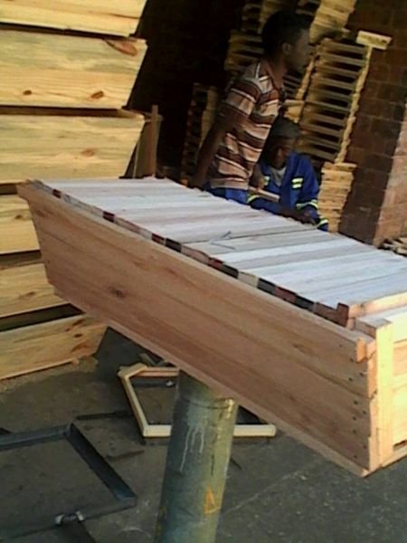 300KTB Bee Hives for sale.