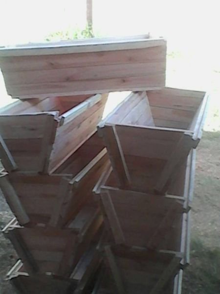 300KTB Bee Hives for sale.