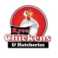 Chickens